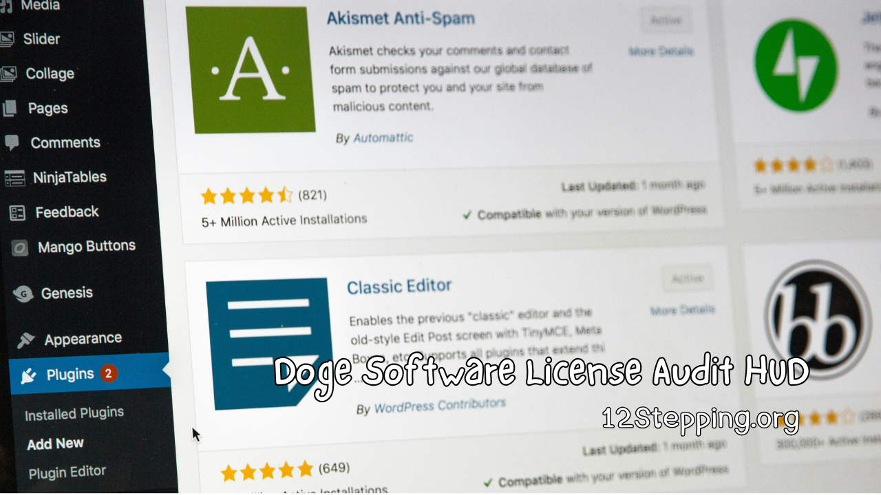 Doge Software License Audit HUD